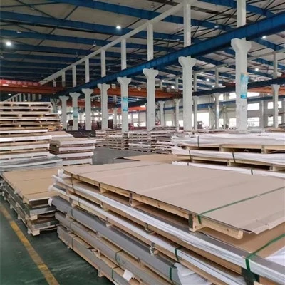 Placă Ss316 de 10 mm